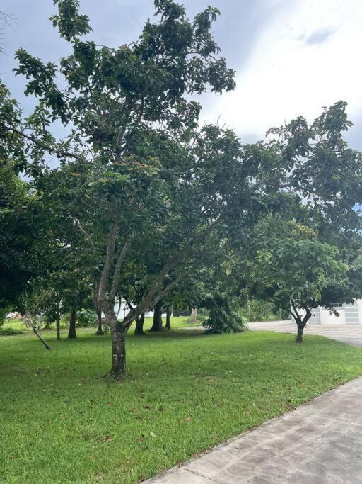 La Finca... Beautiful Countryside Home ! North North Naples エクステリア 写真
